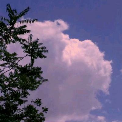 封神仙侠录手游